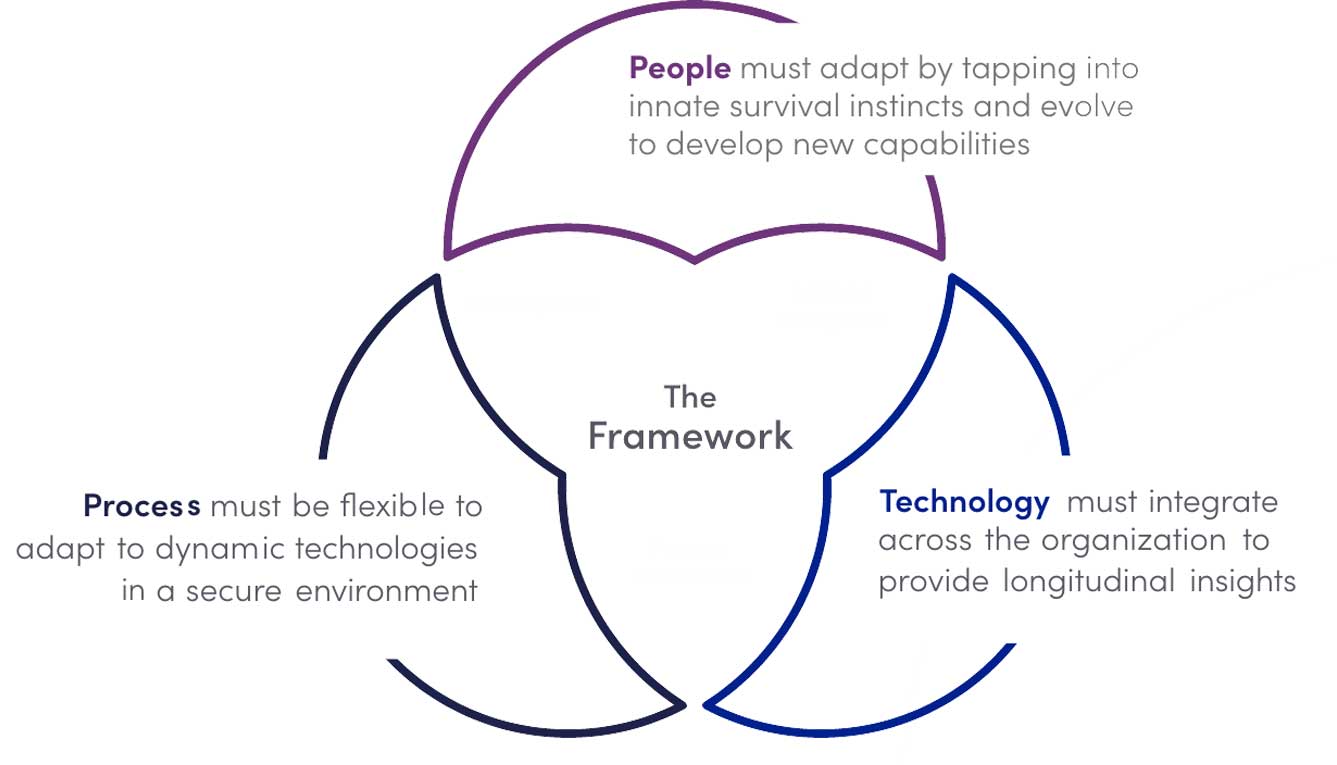 Framework: People, Process, and Technology